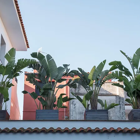 Apartamento Beatrix 2000